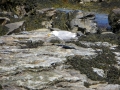 IMG_4856.JPG