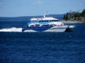 IMG_4869.JPG