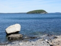 IMG_4660.JPG