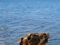 IMG_4667.JPG