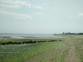 IMG_20150713_151938582