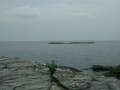 IMG_20150715_143713819
