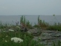 IMG_20150715_144839423