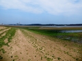 STA_5908