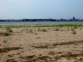 STA_5913