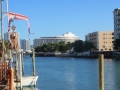 IMG_5039.JPG