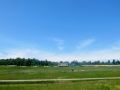 IMG_2962.JPG