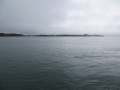IMG_7032.JPG
