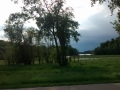 IMG_20150605_180401291.jpg