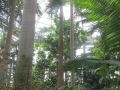 IMG_1481.JPG