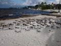 IMG_20141207_154407878