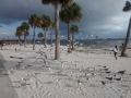 IMG_20141207_154442198